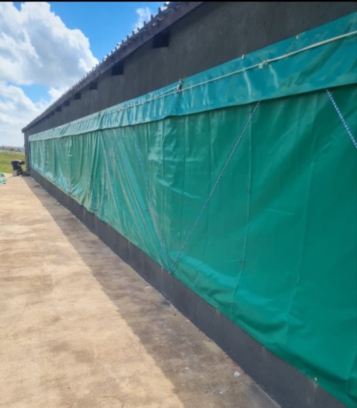 Chicken house curtains